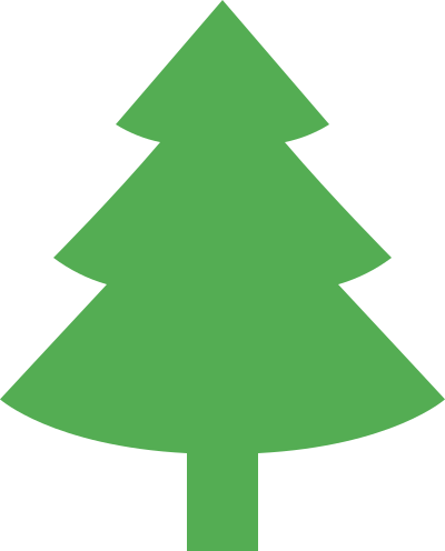sapin baumier