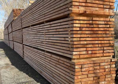 bois douglas professionnel